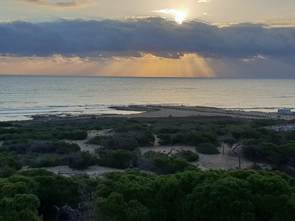 Holiday Apartments La Mata La Mata  Εξωτερικό φωτογραφία
